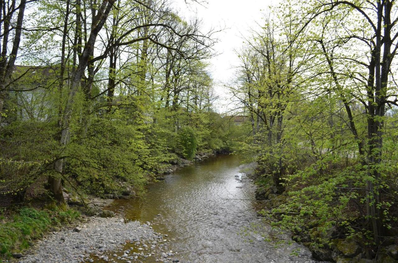 Ferienwohnung Gammer Wangen im Allgäu Eksteriør billede