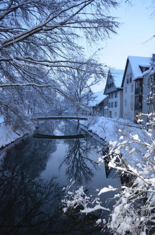 Ferienwohnung Gammer Wangen im Allgäu Eksteriør billede